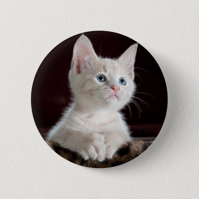 Curious kitty button (Front)