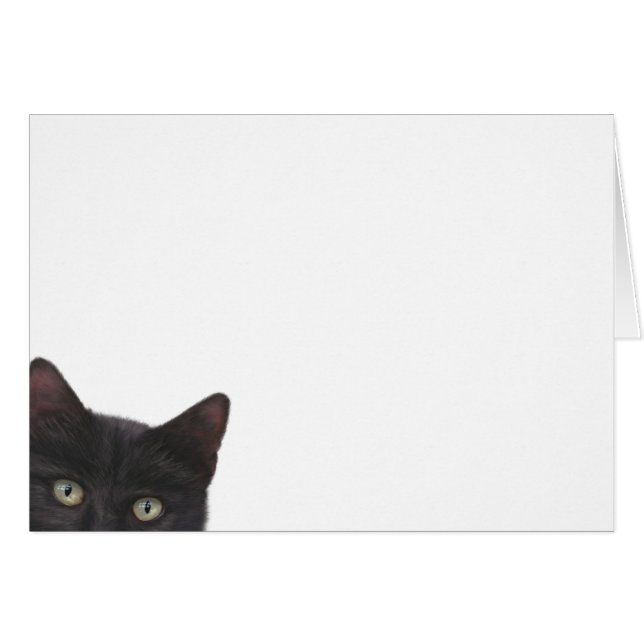 Curious Kitty Digital Painting Cards (Front Horizontal)