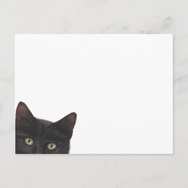 Curious Kitty Digital Painting Postcard (Front)