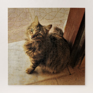 Curious Kitty Jigsaw Puzzle