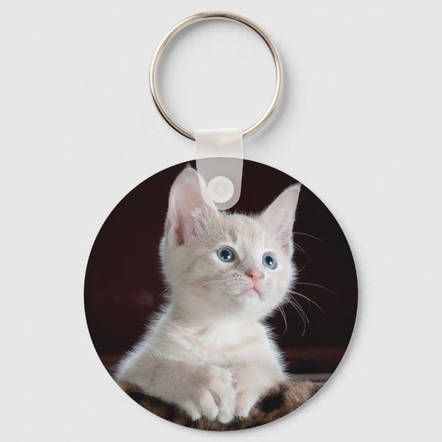 Curious kitty keychain (Front)