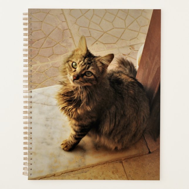 Curious Kitty Notebook (Front)