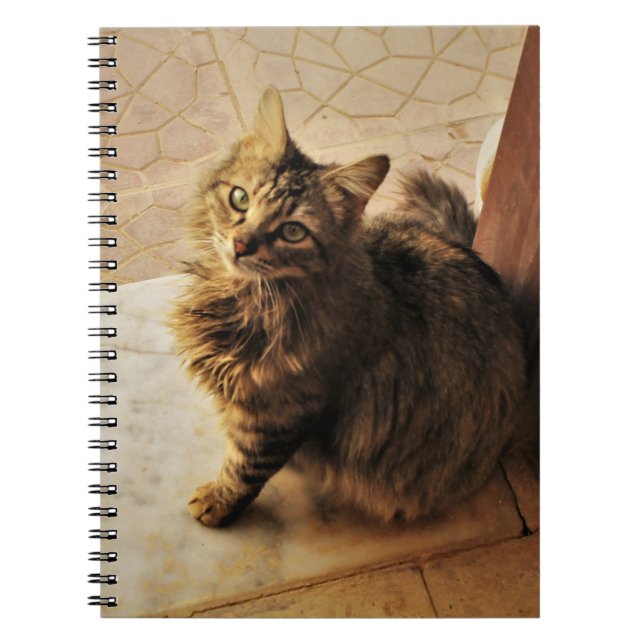 Curious Kitty Notebook (Front)