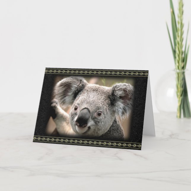 Curious Koala Greeting Card (Front)