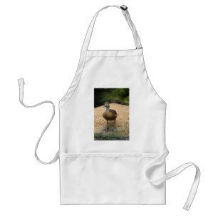 Curious little duck adult apron