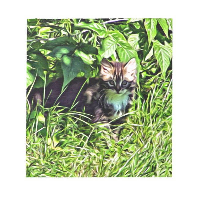 Curious little kitten notepad (Front)