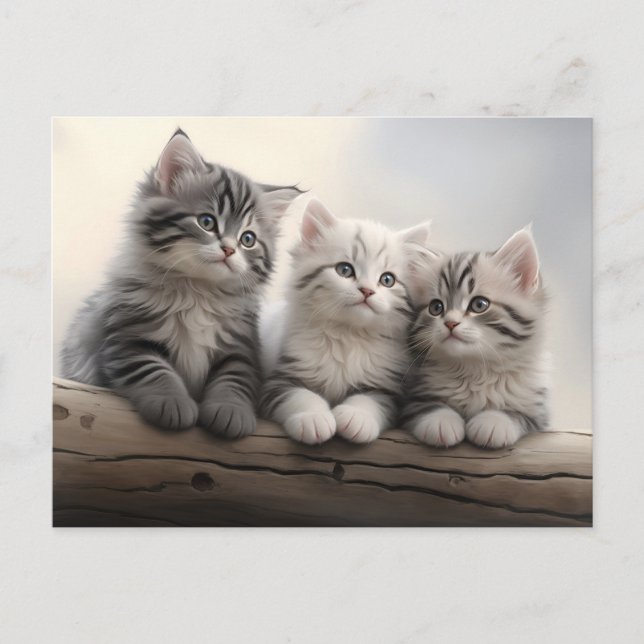 Curious Little Ones - Cute Tabby Kittens Postcard (Front)