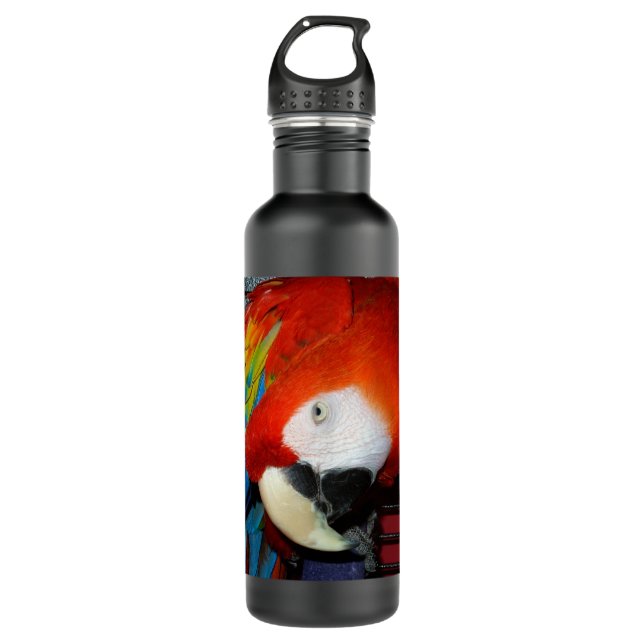 Curious Macaw Water Bottle (Front)