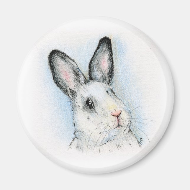 Curious Magnet (Front)