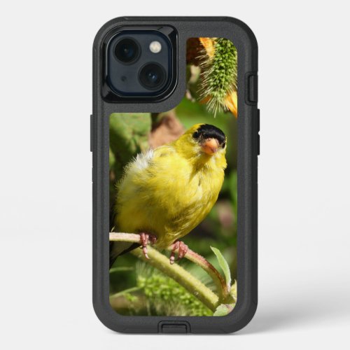 Curious Male American Goldfinch  iPhone 13 Case