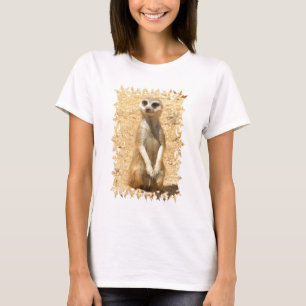 Curious Meerkat Ladies Fitted T-Shirt