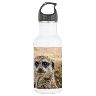 Curious Meerkat Stainless Steel Water Bottle