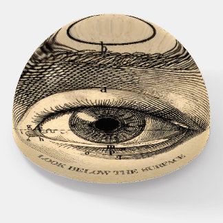 Curious Mind Paperweight: LOOK Paperweight