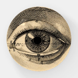 Curious Mind Paperweight: LOOK Paperweight