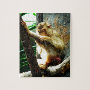 Curious Monkey Jigsaw Puzzle