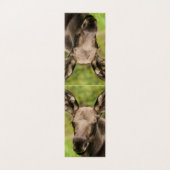 Curious Moose (Outside Unfolded)