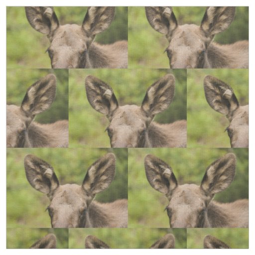 Curious Moose Fabric