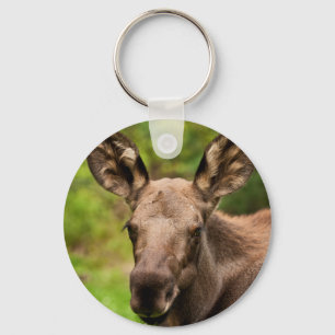 Curious Moose Keychain