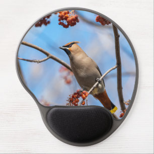 Curious Northern Bird, Bohemian Waxwing Photo Gel Mouse Pad