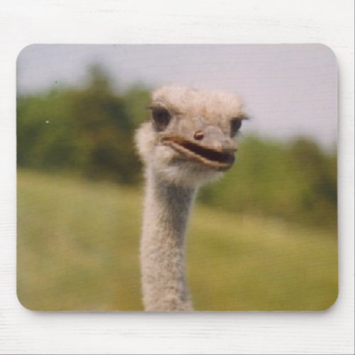 Curious Ostrich Mouse Pad