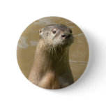 Curious Otter Pin