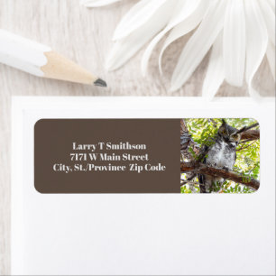 Curious Owl On Branch Label