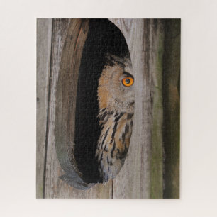 Curious Owl Peeking From Home Jigsaw Puzzle