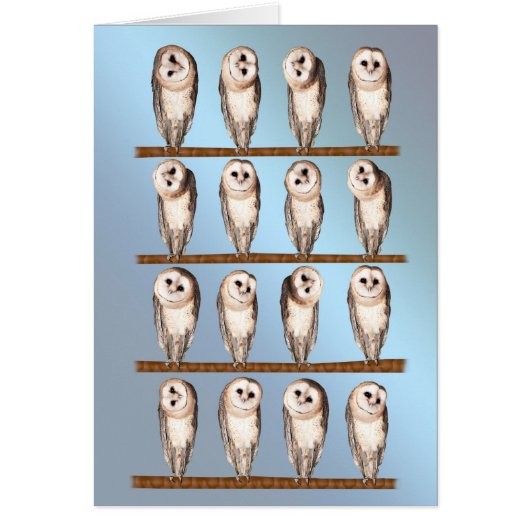 Curious owls blank card. cards (Front)
