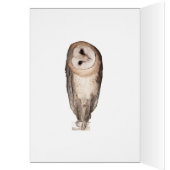 Curious owls card. (Inside (Left))