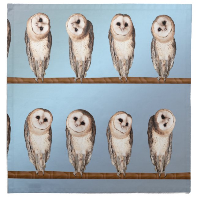 Curious owls cloth napkin (Front)