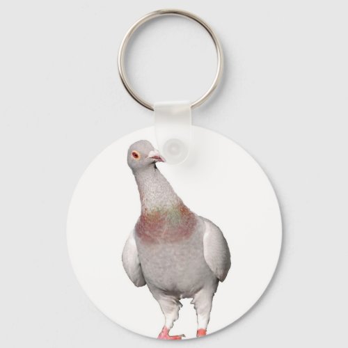 Curious pigeon keychain