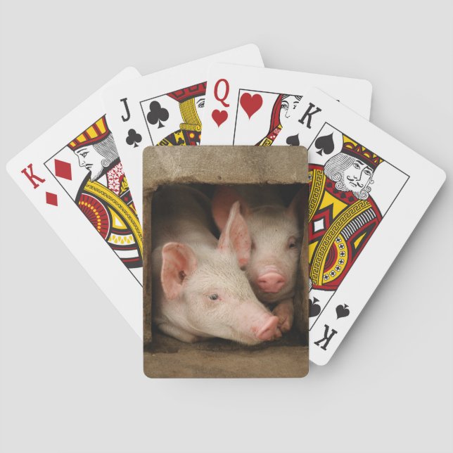 Curious Piglets Poker Cards (Back)