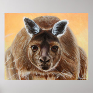CURIOUS POSTER