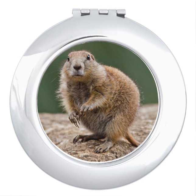 Curious Prairie Dog Compact Mirror (Front)