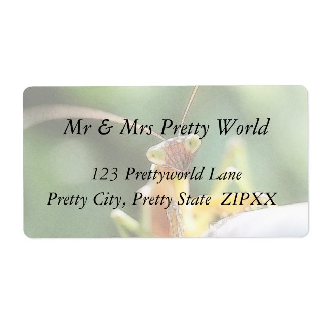 Curious Praying Mantis Label (Front)