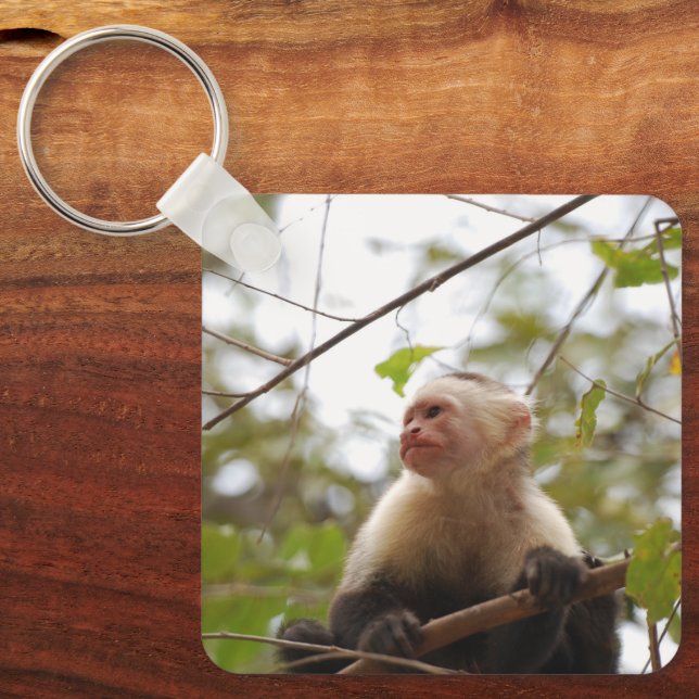 Curious Primate, White-Faced Capuchin Keychain (Front)