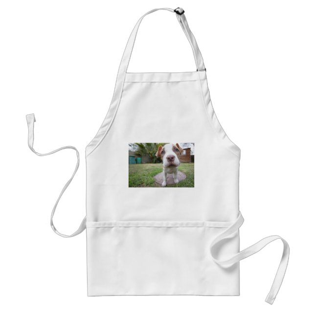 Curious Puppy Adult Apron (Front)