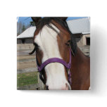 Curious Quarter Horse Square Pin