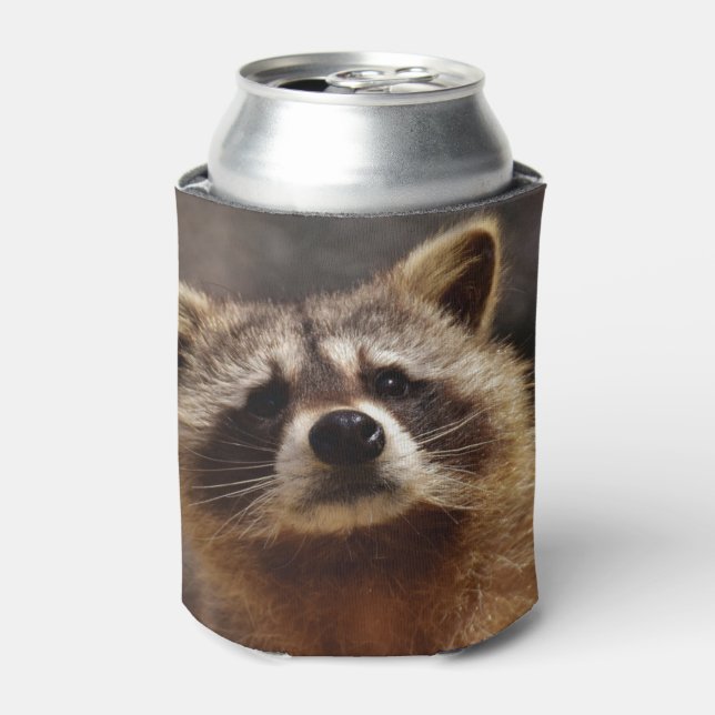 Curious Raccoon Can Cooler (Can Front)