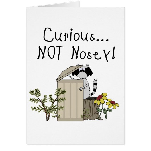 Curious Raccoon Cards (Front)