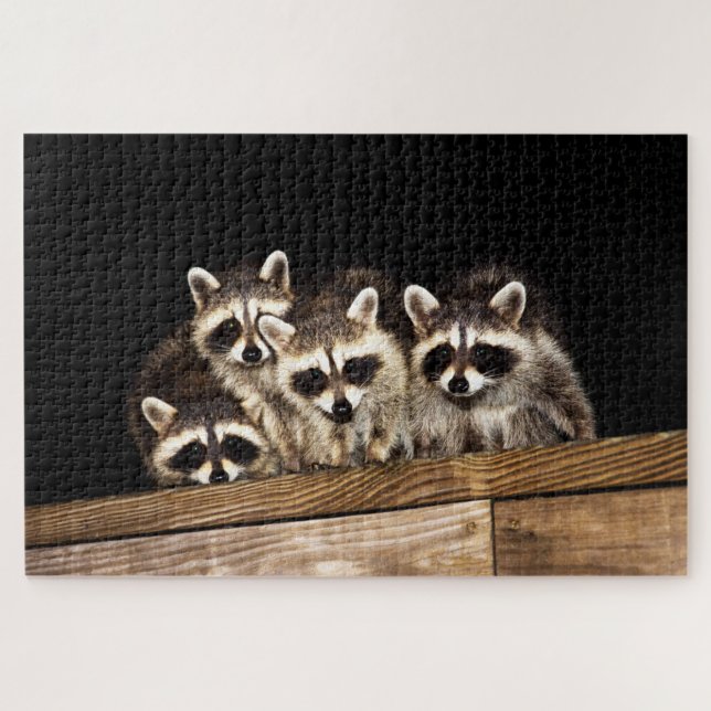 Curious Raccoon Family, Jigsaw Puzzle (Horizontal)