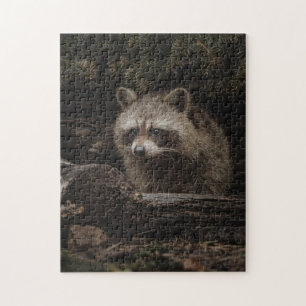 Curious Raccoon In The Forest Animal Jigsaw Puzzle