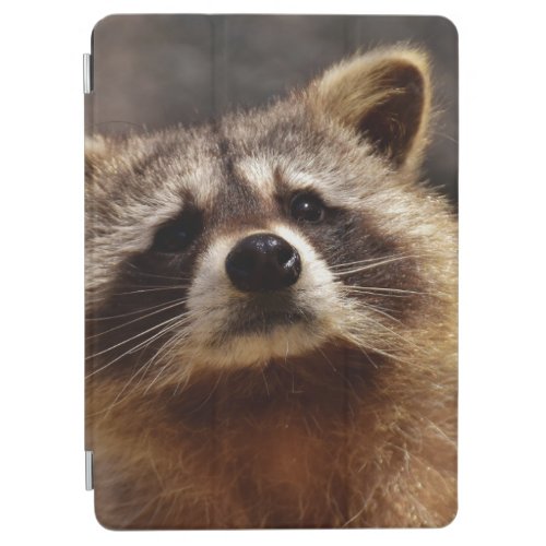 Curious Raccoon iPad Air Cover