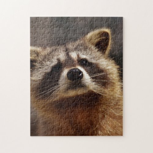 Curious Raccoon Jigsaw Puzzle