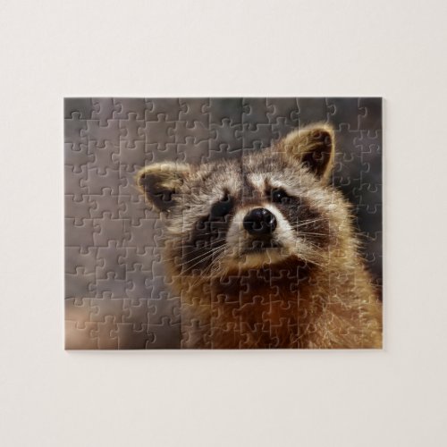 Curious Raccoon Jigsaw Puzzle