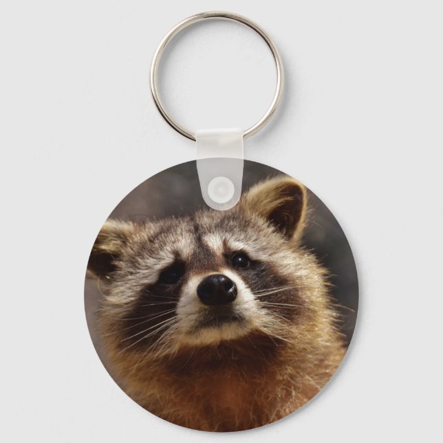 Curious Raccoon Keychain (Front)