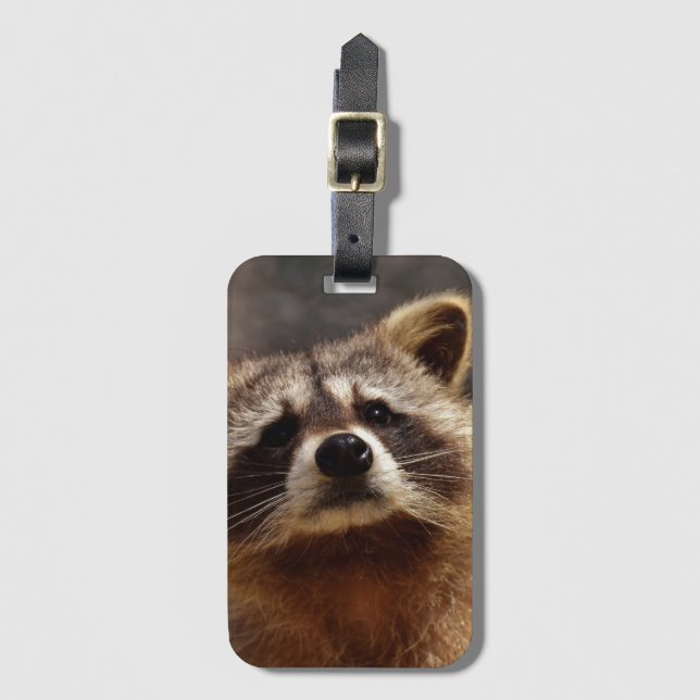 Curious Raccoon Luggage Tag (Front Vertical)