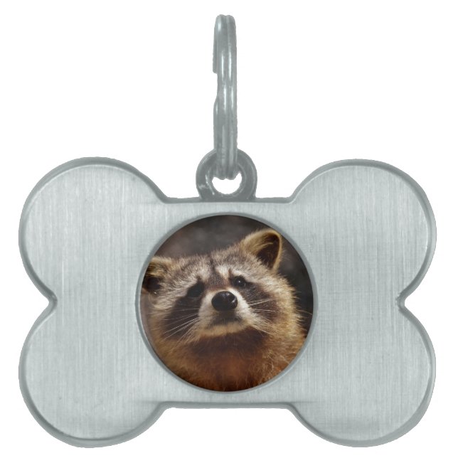 Curious Raccoon Pet Name Tag (Front)