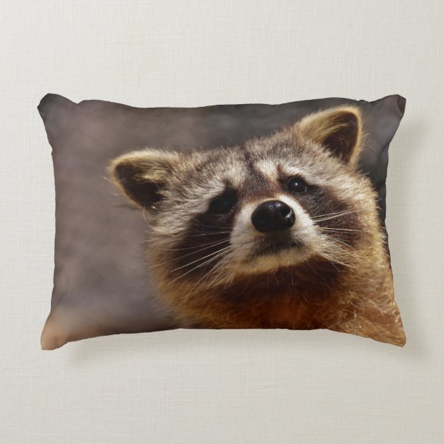 Curious Raccoon Photo Accent Pillow (Front)