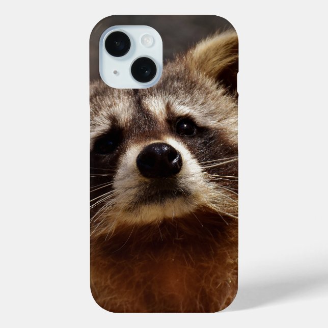 Curious Raccoon Photo Case-Mate iPhone Case (Back)